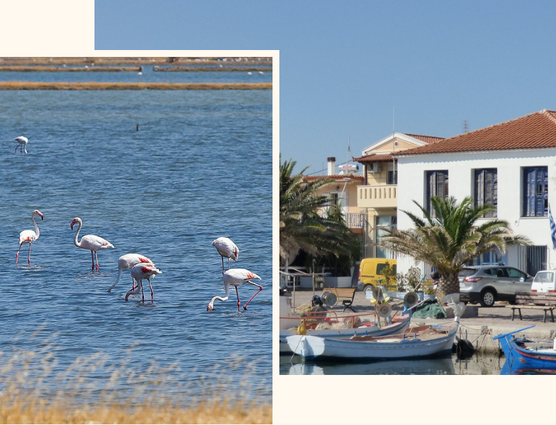 Custom private tour route through the scenic landscape of Lesvos, Greece